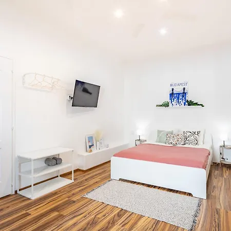 Apartment Very - Stylish - Large With Ac *